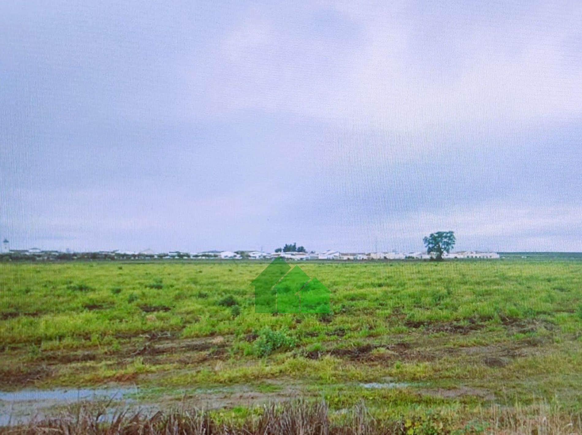 Terreno - Guadiana - Foto 1