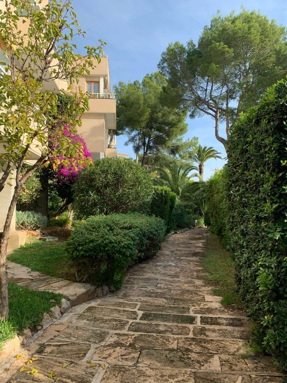 Piso en venta en Calvia - Foto 2
