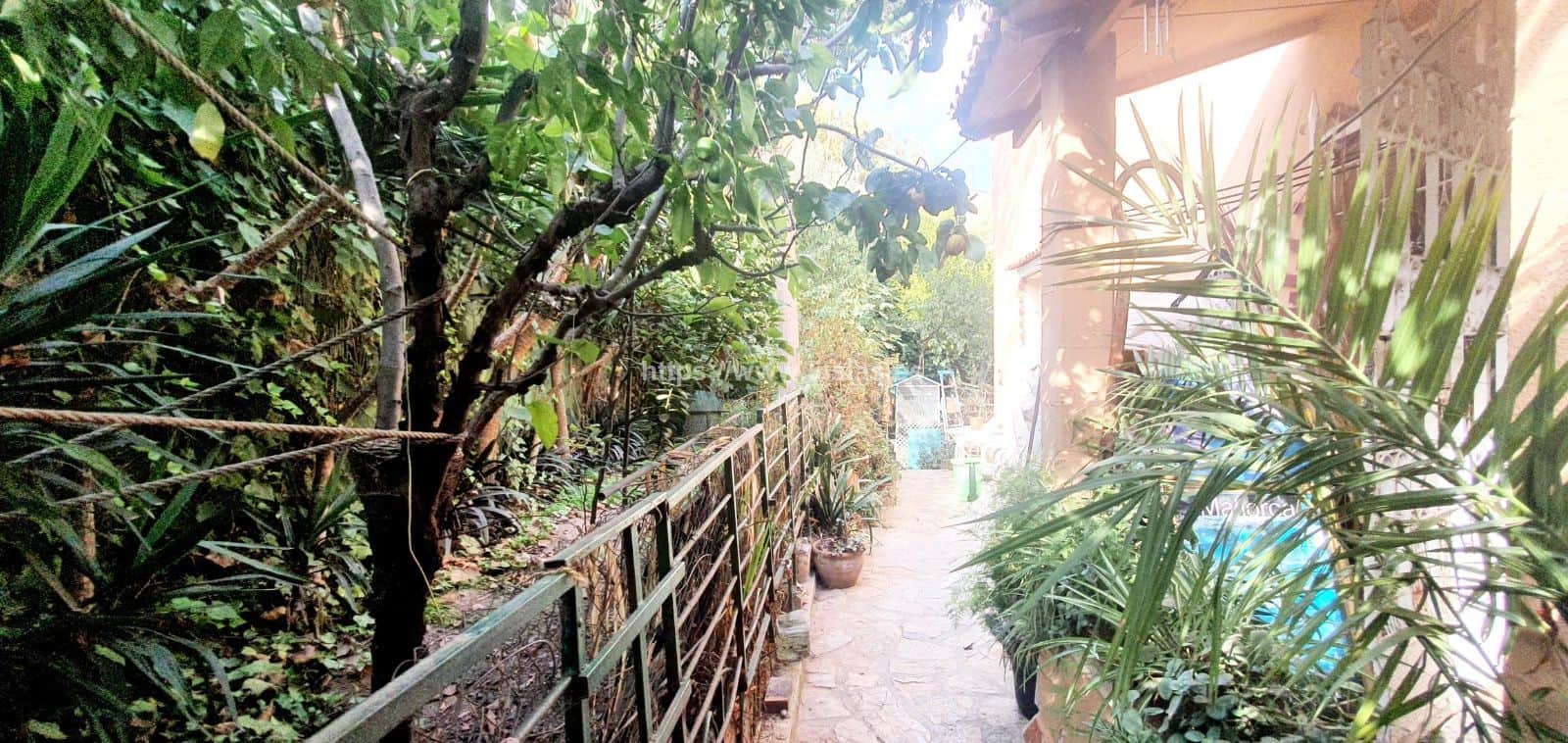 Son Armadams chalet con posibilidad de construir viviendas - Foto 4