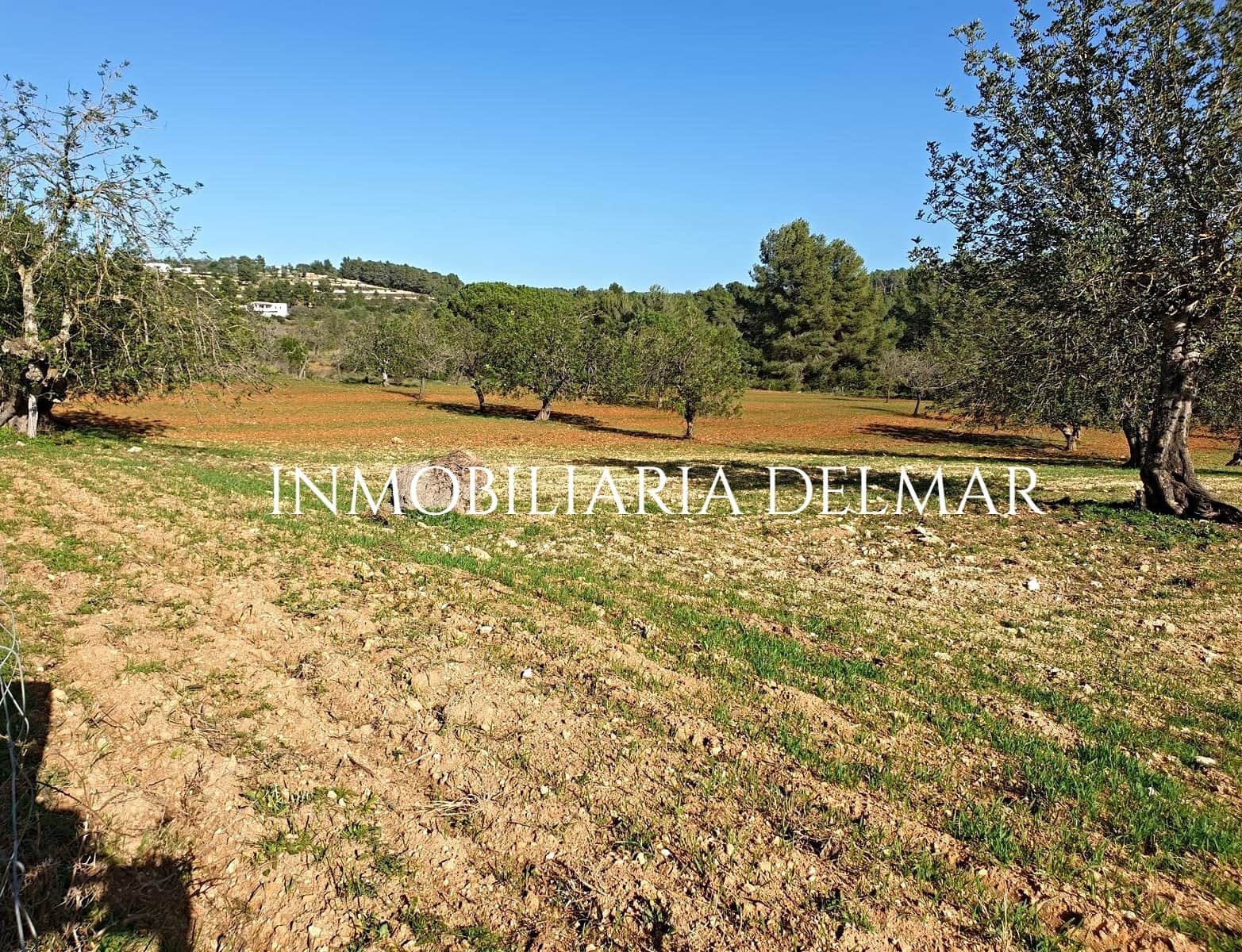 TERRENO DE CULTIVO CON CONSTRUCCIÓN - Foto 1