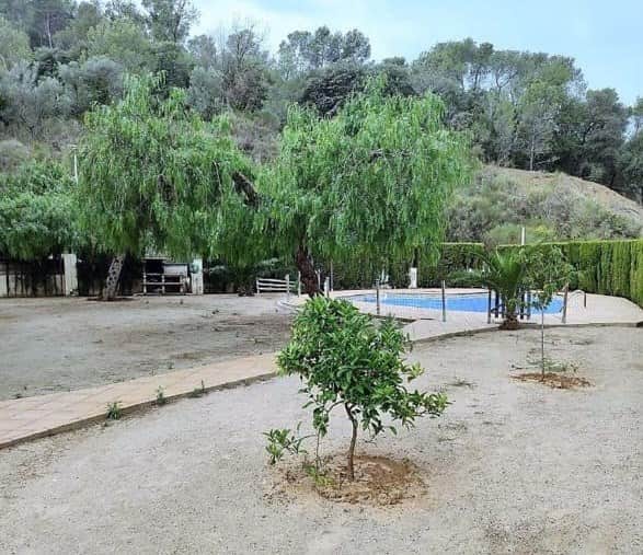 SANT ANDREU DE LA BARCA - Foto 2