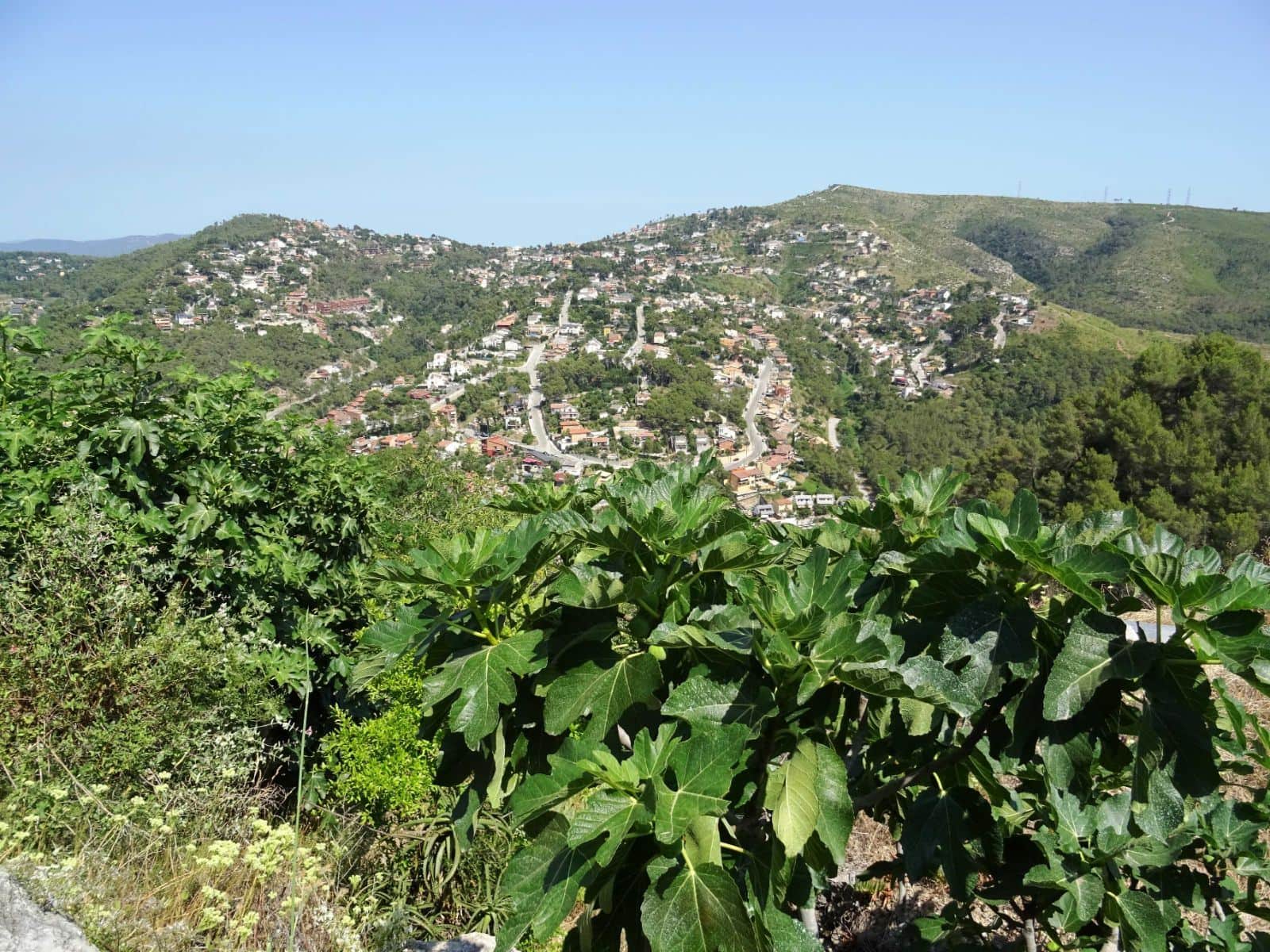 VALLIRANA - Foto 4