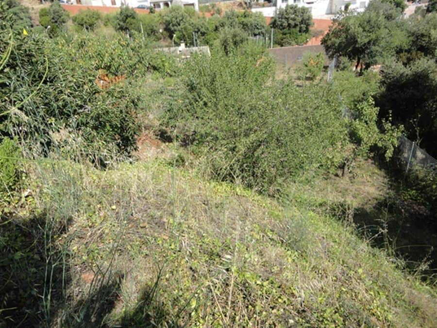 ESTUPENDO TERRENO - Foto 2