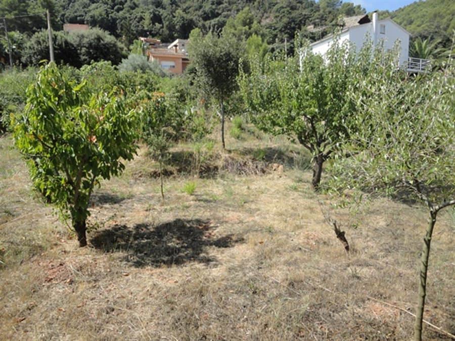 ESTUPENDO TERRENO - Foto 3