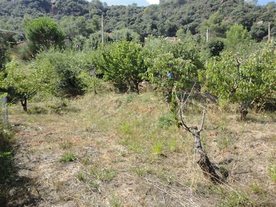 ESTUPENDO TERRENO - Foto 4