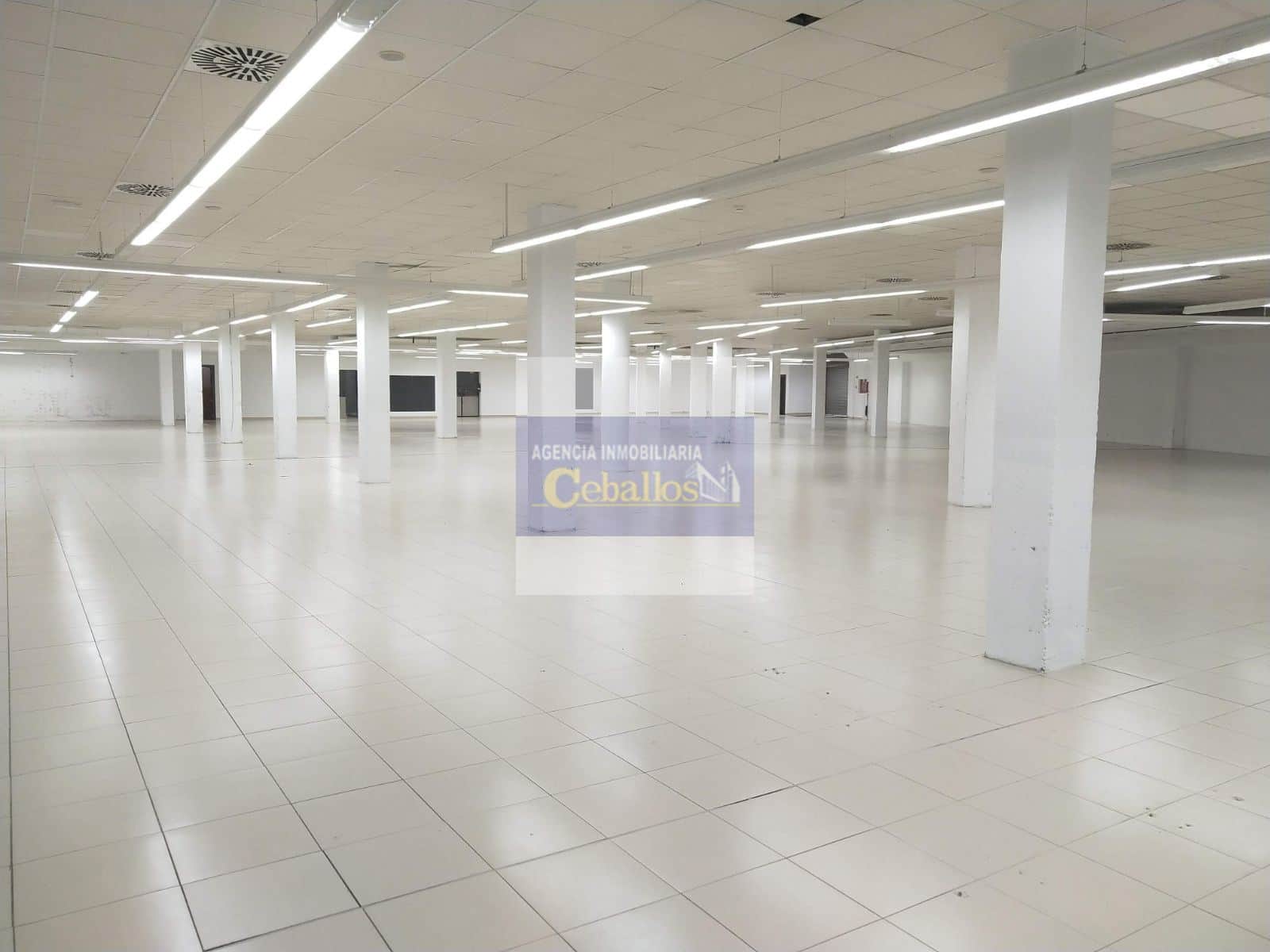 LOCAL COMERCIAL ALQUILER CABANILLAS DEL CAMPO - Foto 4