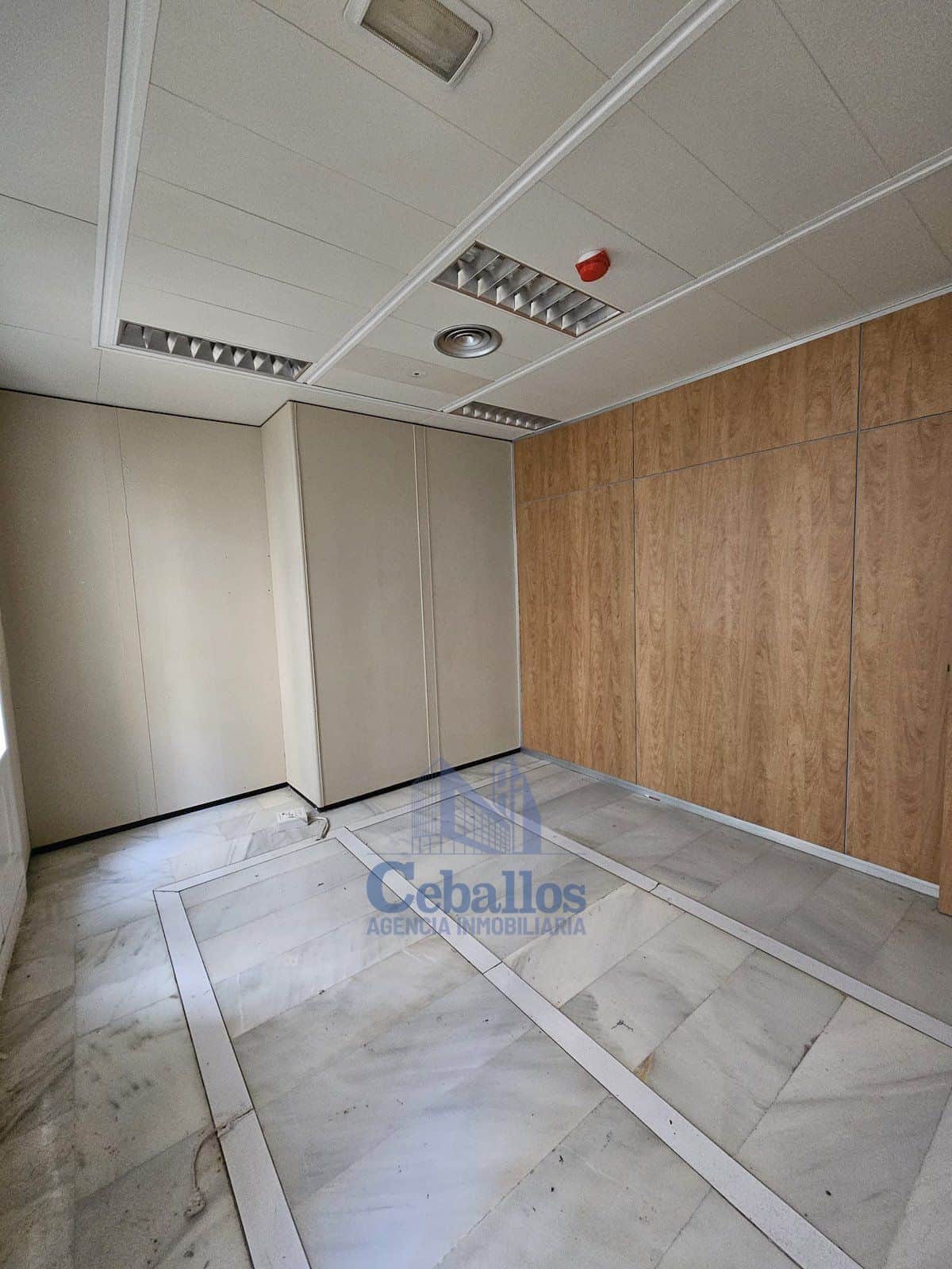 Oficinas en el centro en Alquiler - Foto 5