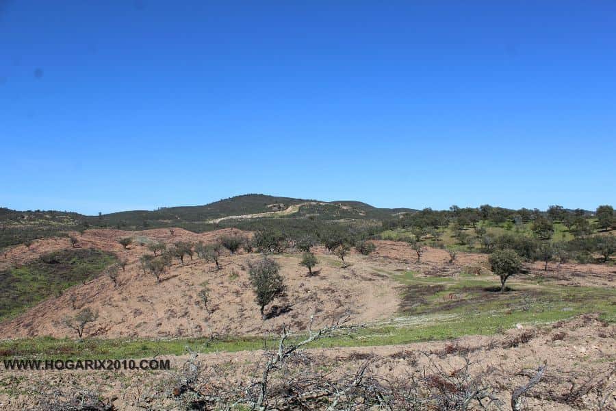 Gran parcela en Almonaster La Real - Foto 5