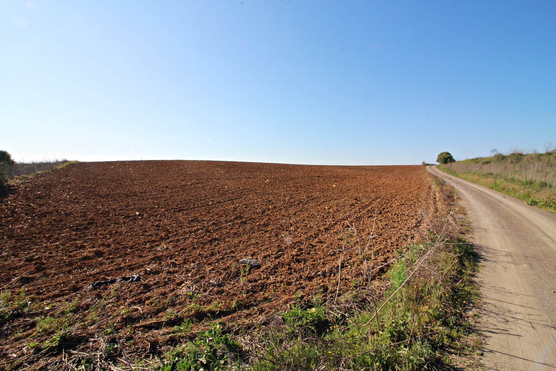 MAGNIFICA FINCA EN LA ZONA DE LA RIBERA - Foto 1