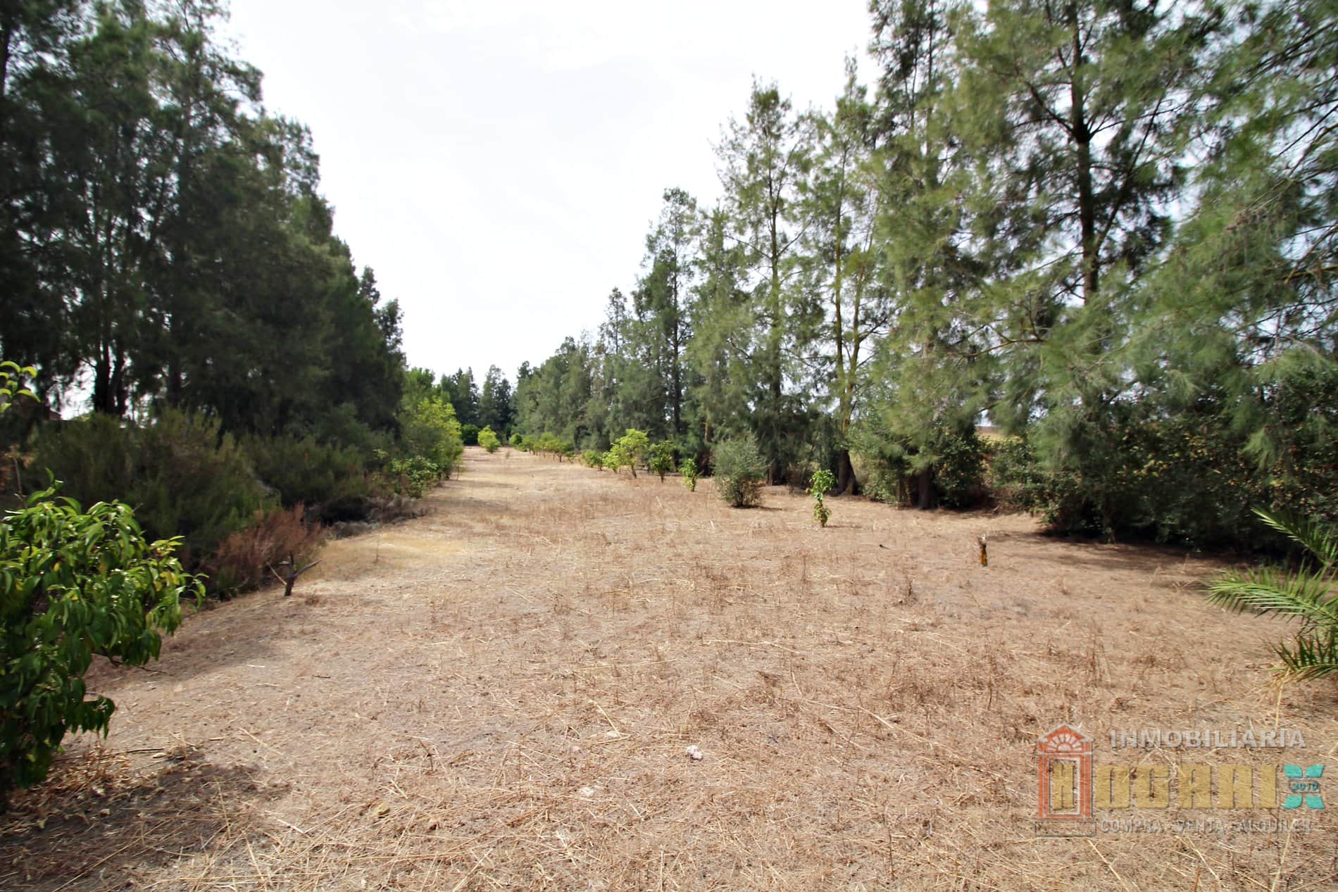 Terreno en venta en La Palma del Condado - Foto 4