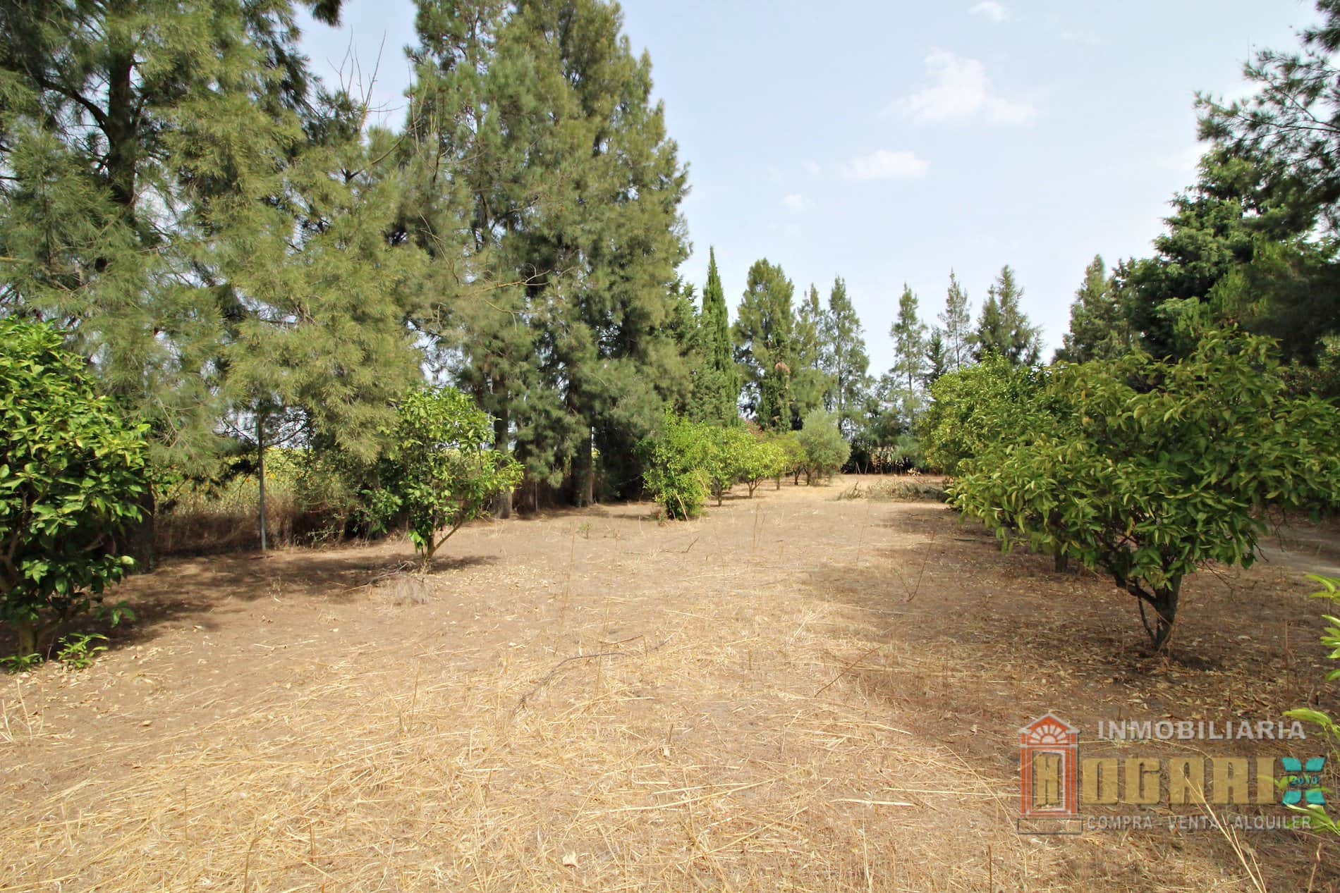 Terreno en venta en La Palma del Condado - Foto 2