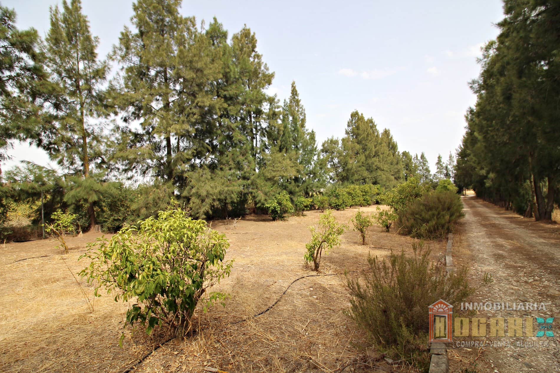 Terreno en venta en La Palma del Condado - Foto 3