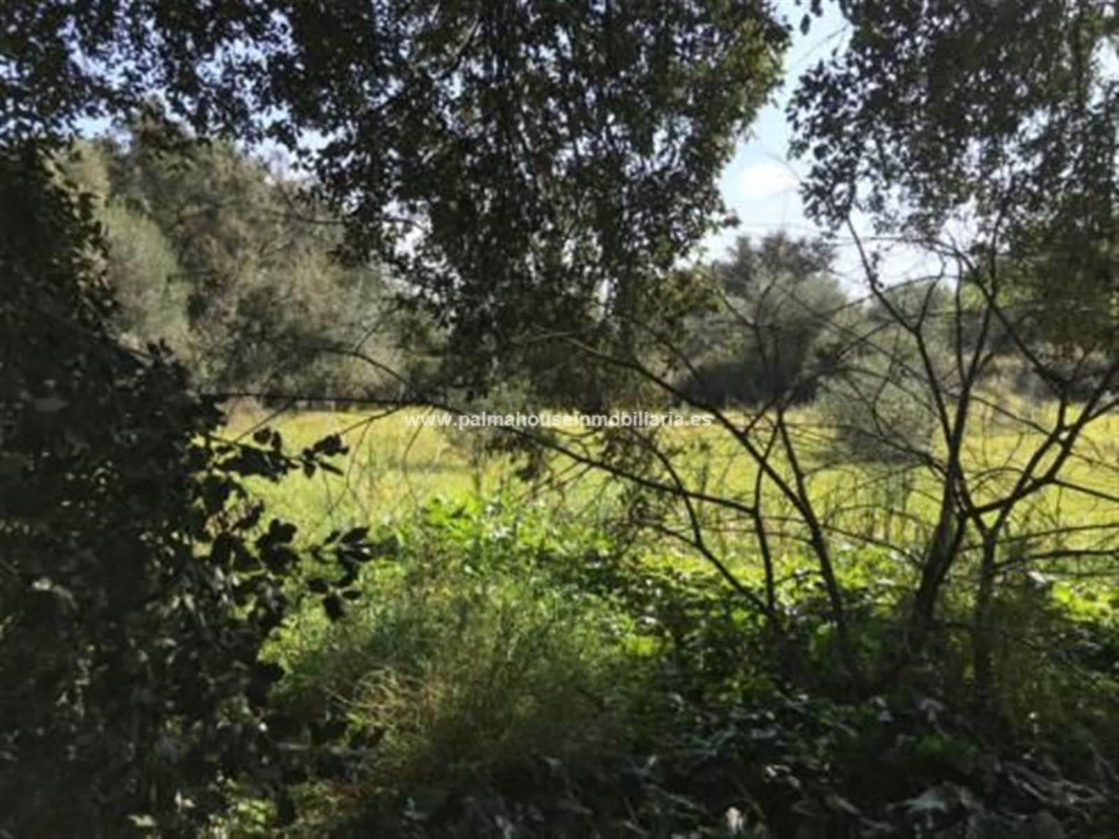 TERRENO MUY PRIVADO Y CON ENCANTO - Foto 1
