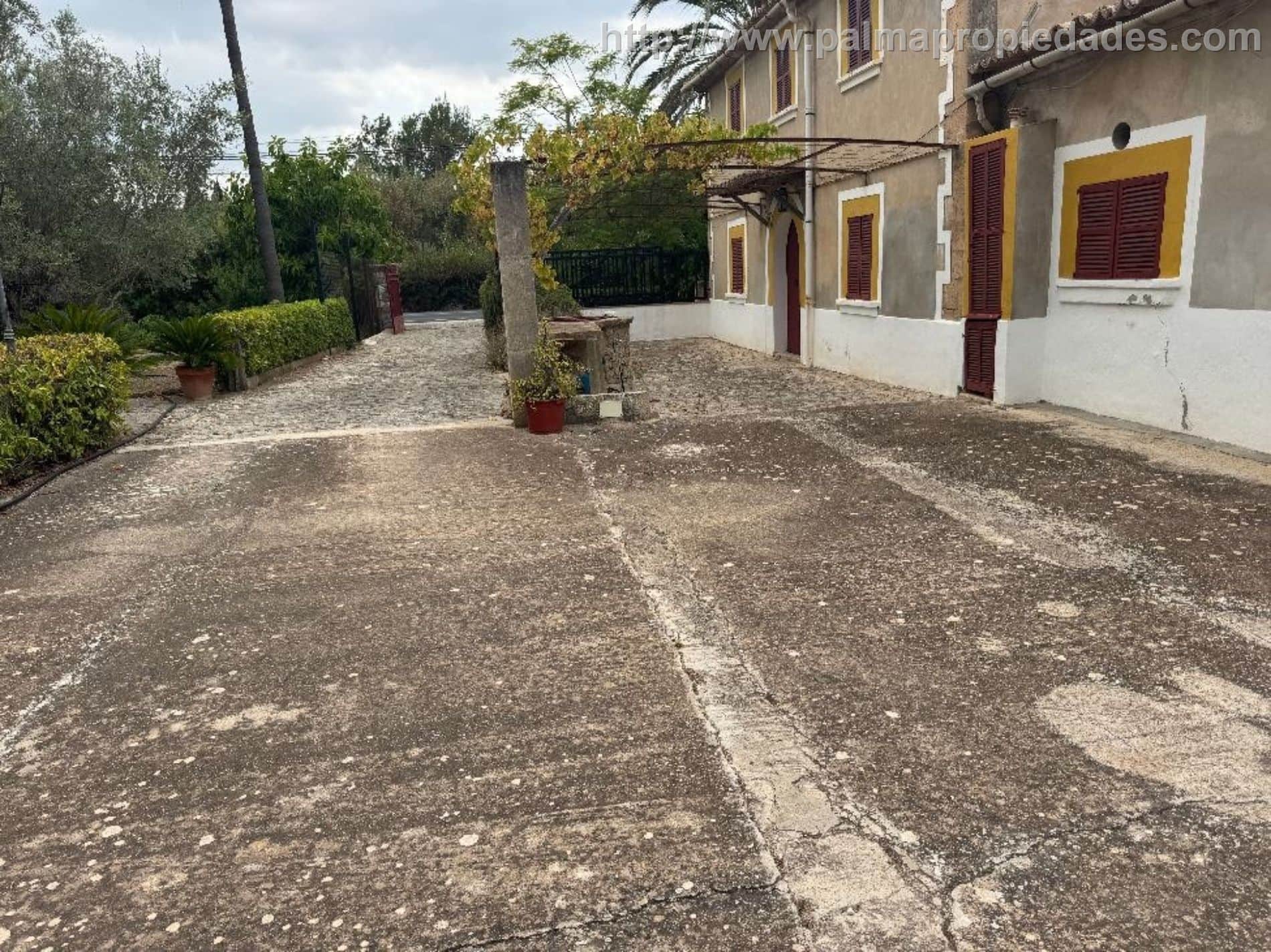 Finca - Establiments, Palma De Mallorca - Foto 4