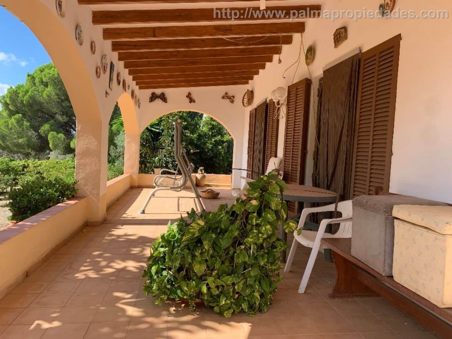Finca - Inca - Foto 2