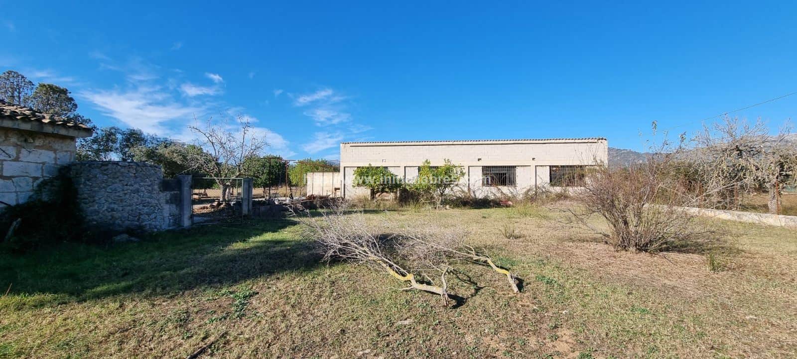 MACNIFICA FINCA CON CASA MALLORQUINA - Foto 5