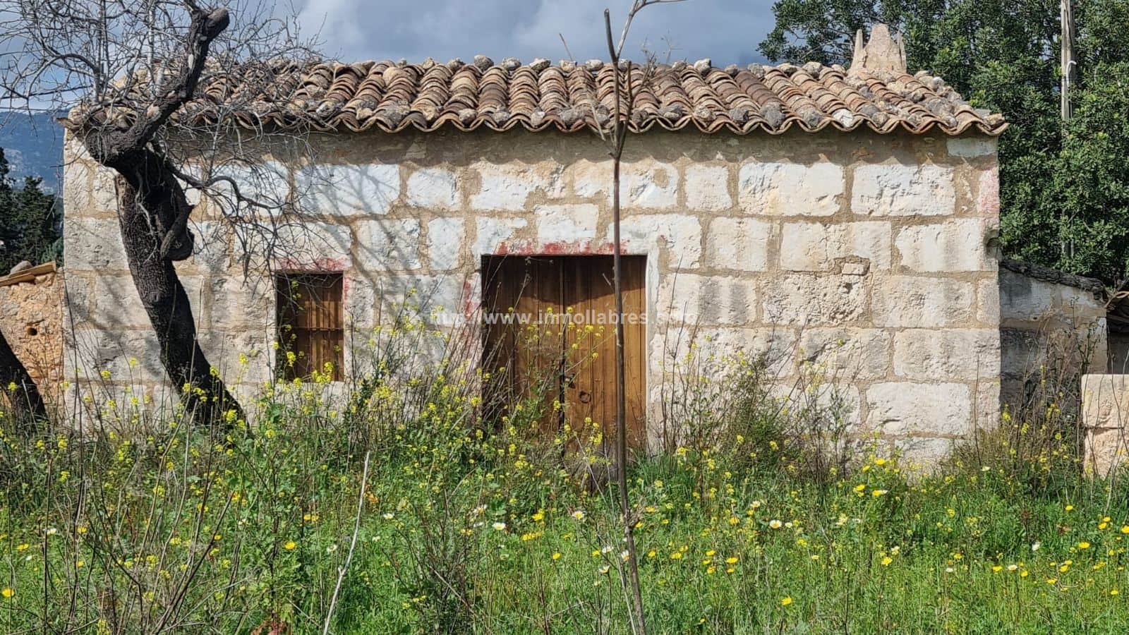 PRECIOSA FINCA RUSTICA - Foto 1