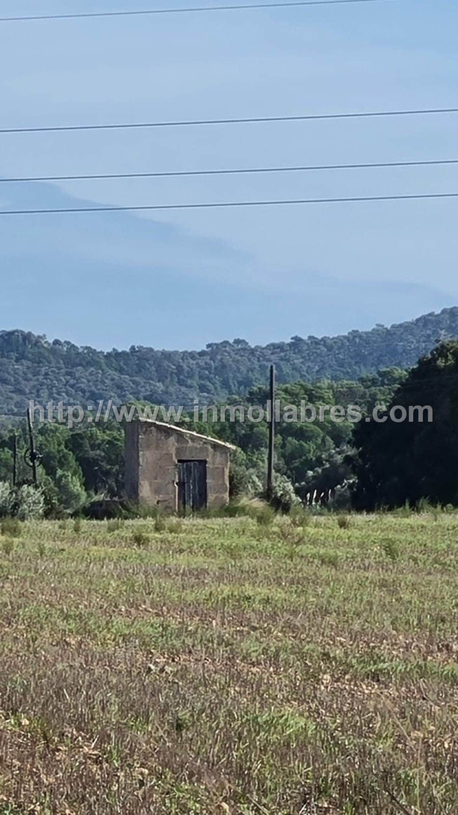 BONITA FINCA EDIFICABLE EN MANACOR - Foto 2