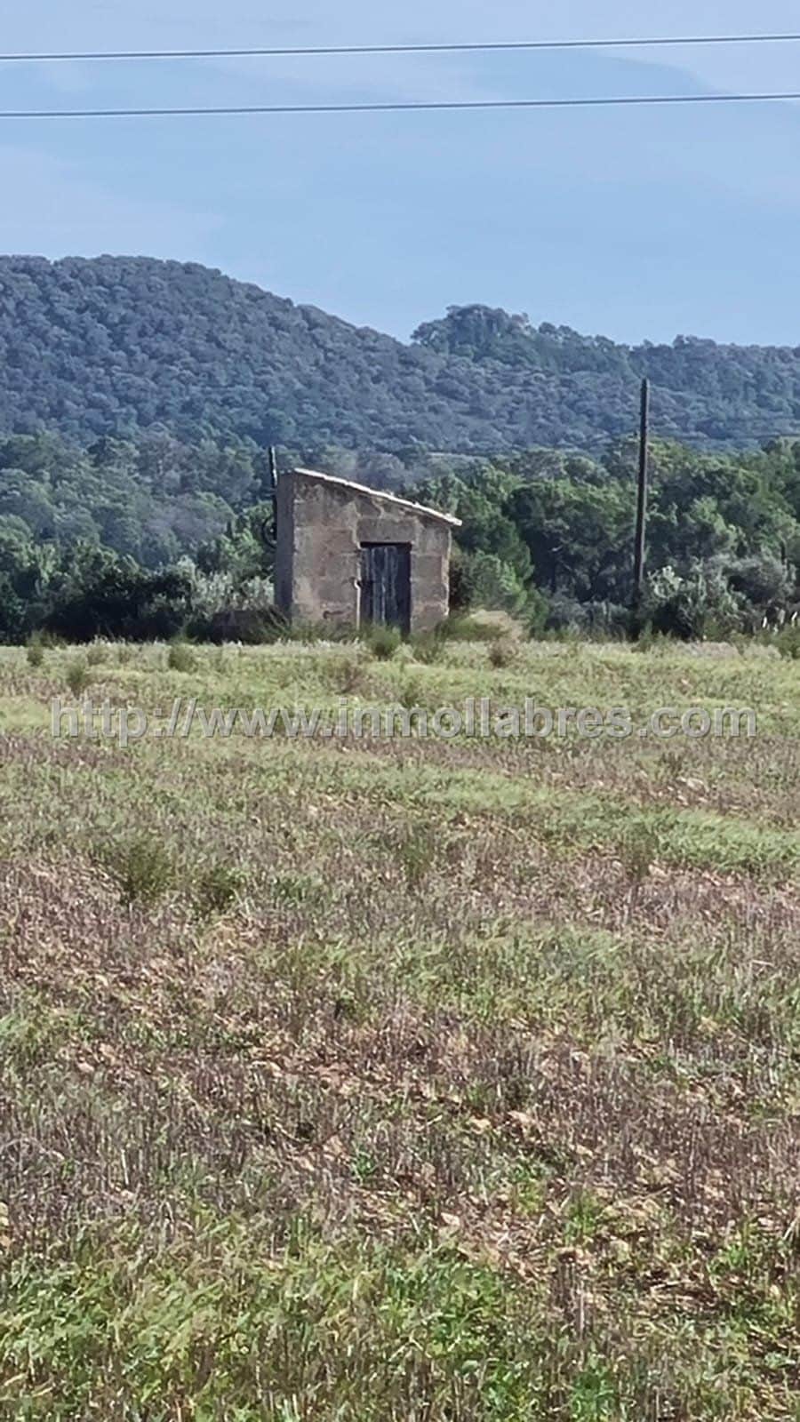 BONITA FINCA EDIFICABLE EN MANACOR - Foto 3