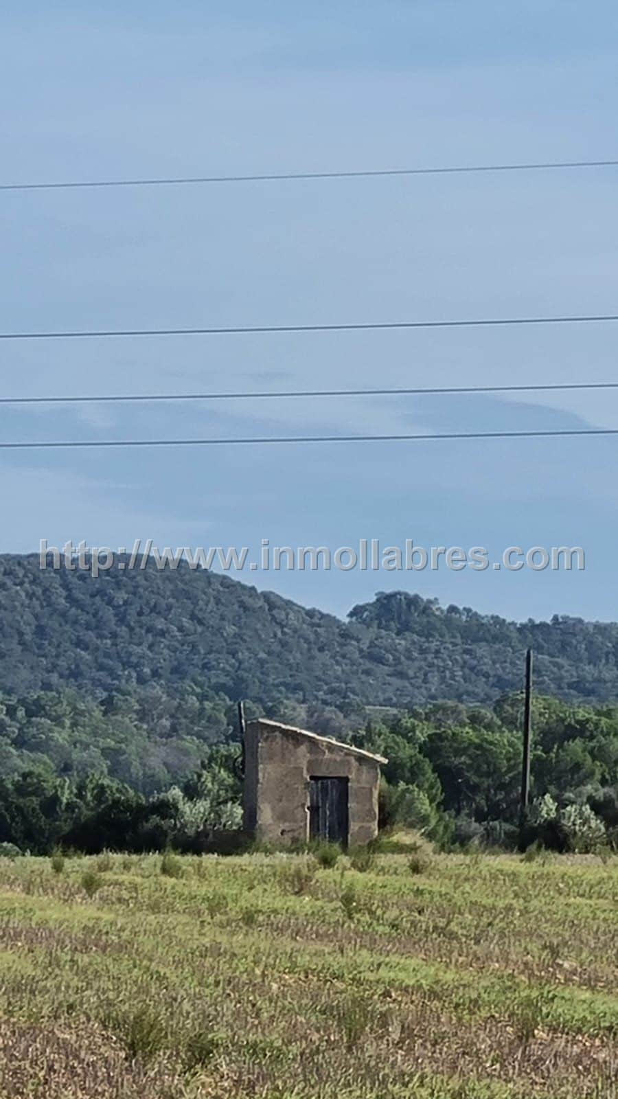 BONITA FINCA EDIFICABLE EN MANACOR - Foto 5