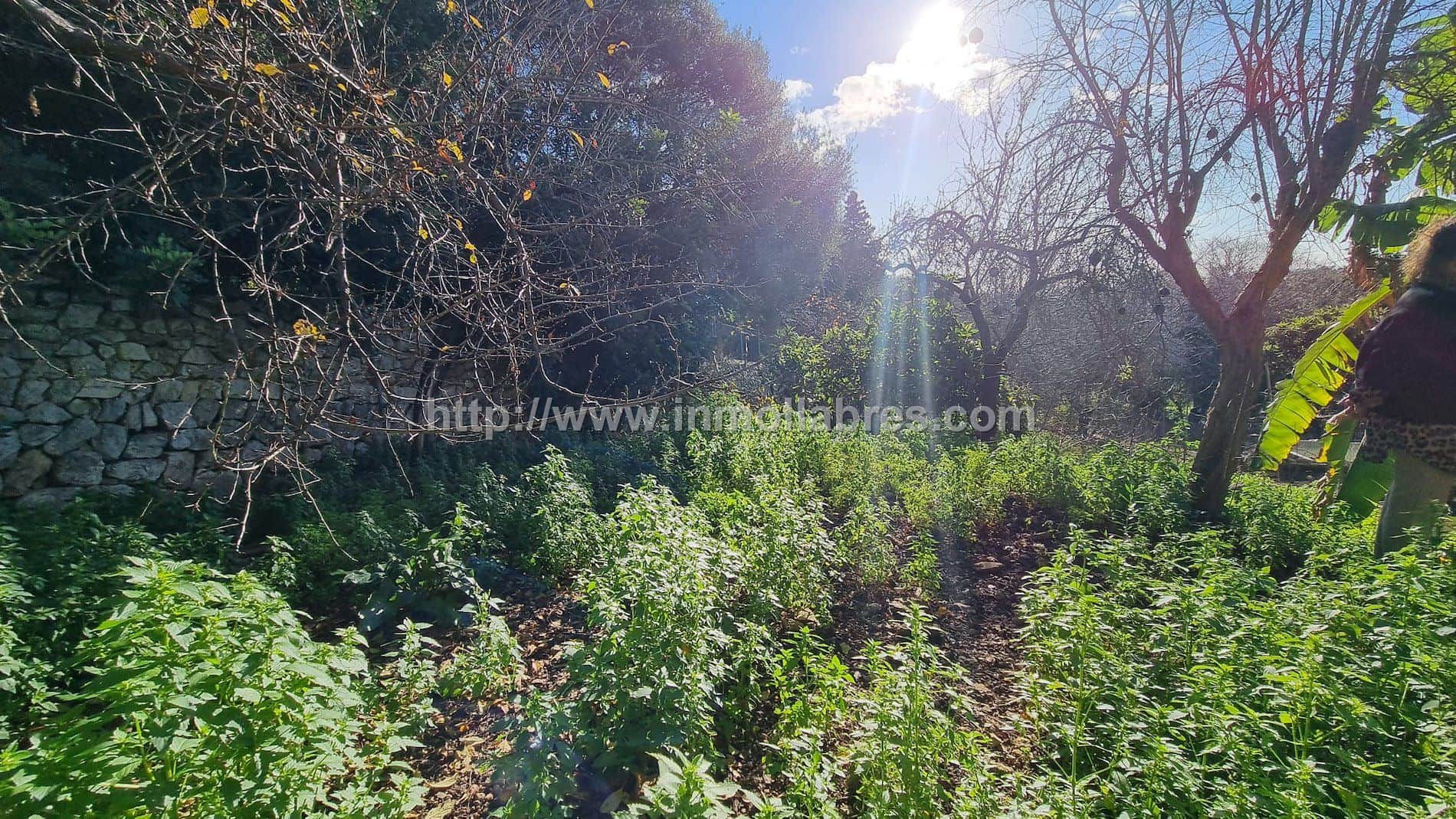 CASA DE PUEBLO EN CAMPANET - Foto 4