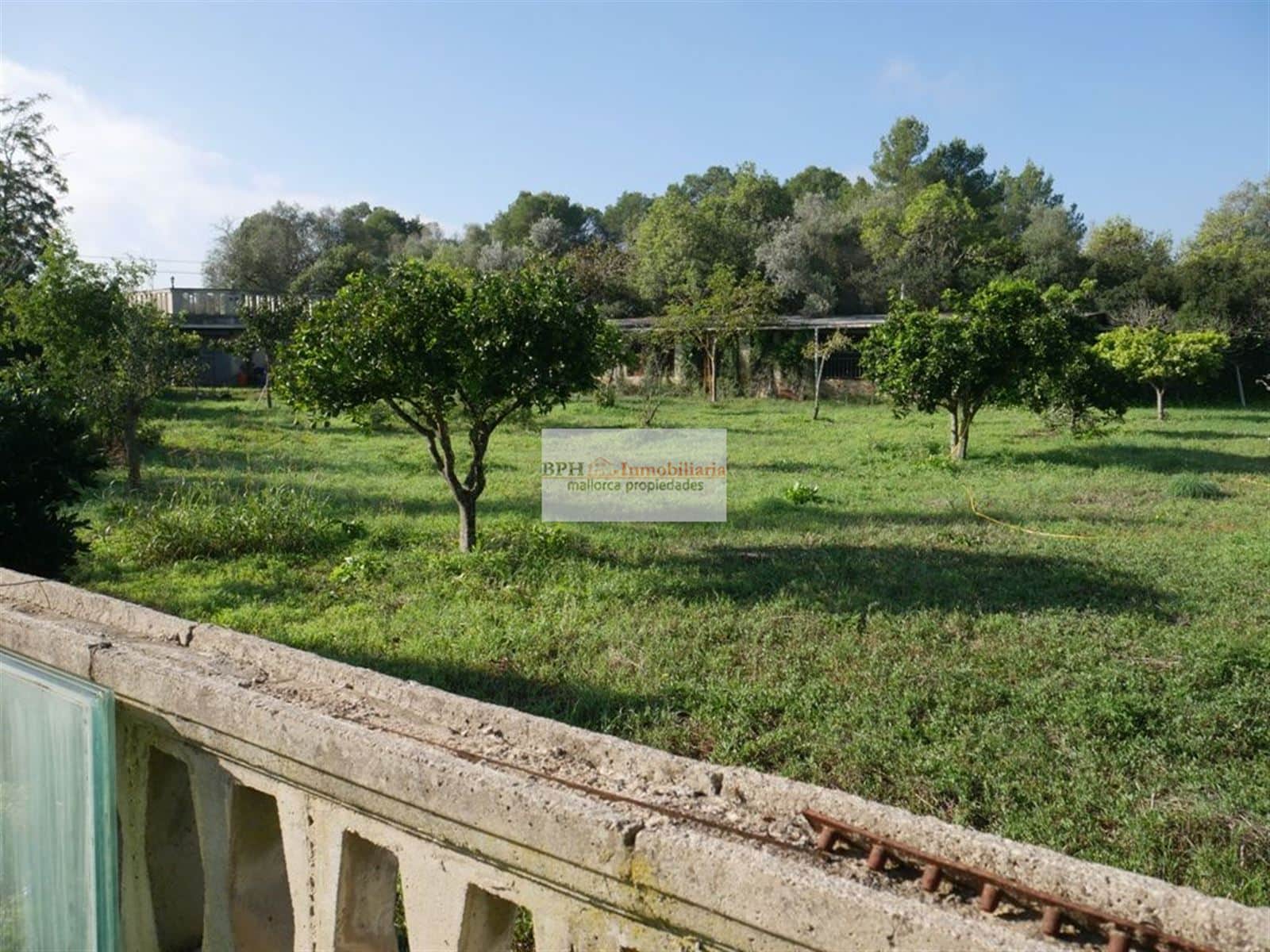FINCA RÚSTICA EN SANCELLAS - Foto 4