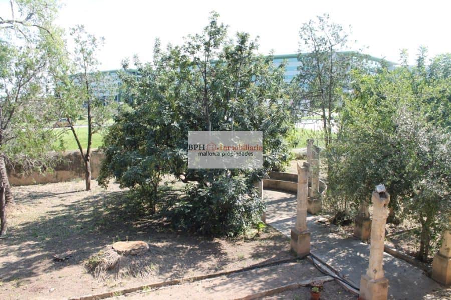 FINCA EN UN SOLAR DE 9758 M2 - Foto 4