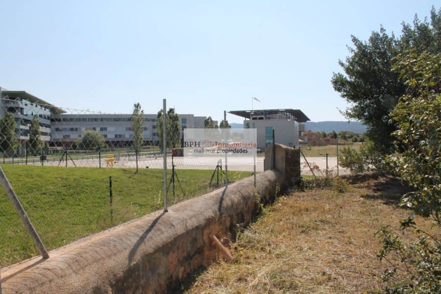 FINCA EN UN SOLAR DE 9758 M2 - Foto 5