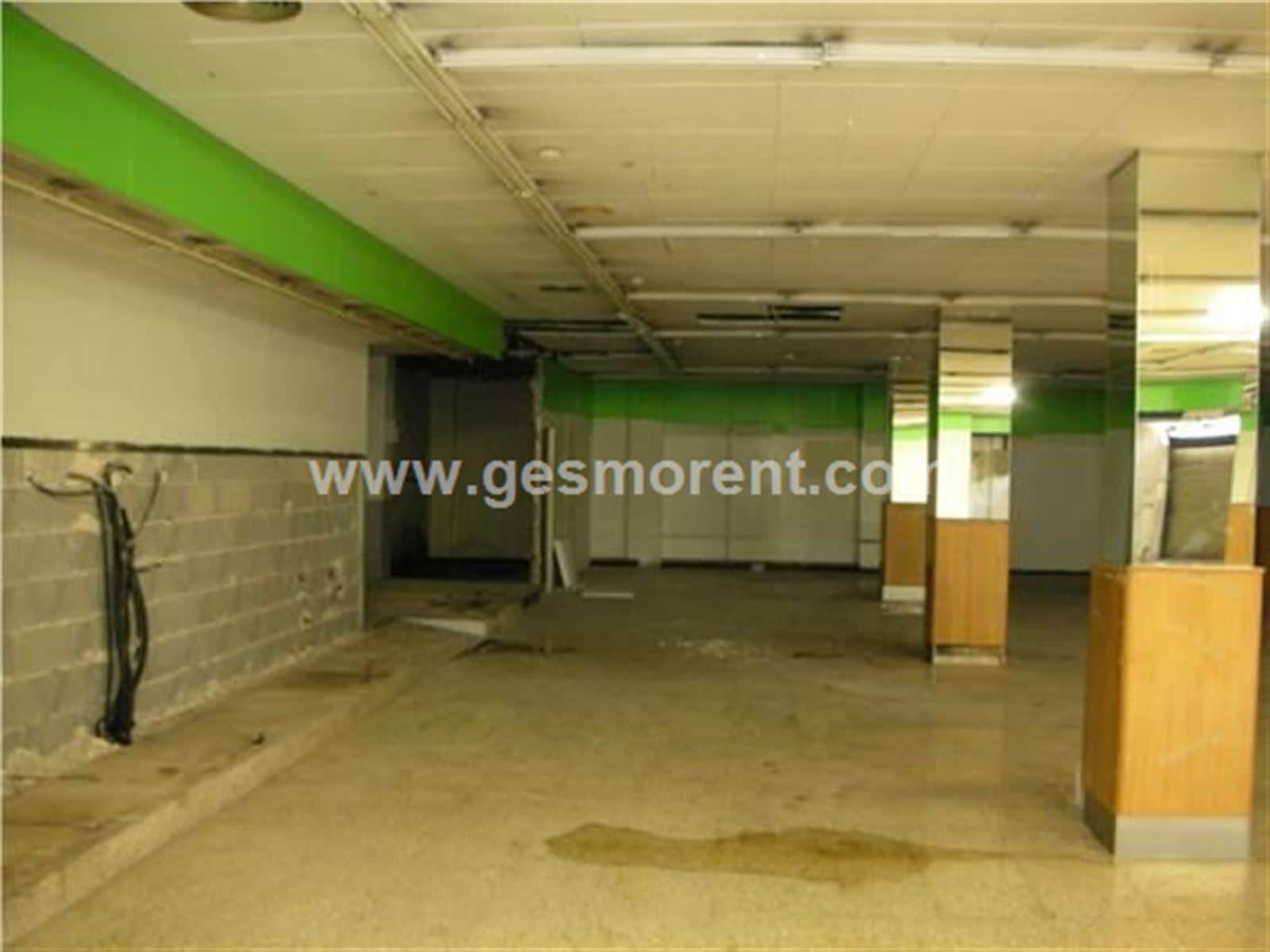 LOCAL CON INQUILINO EN VENTA EN PALMA - Foto 5