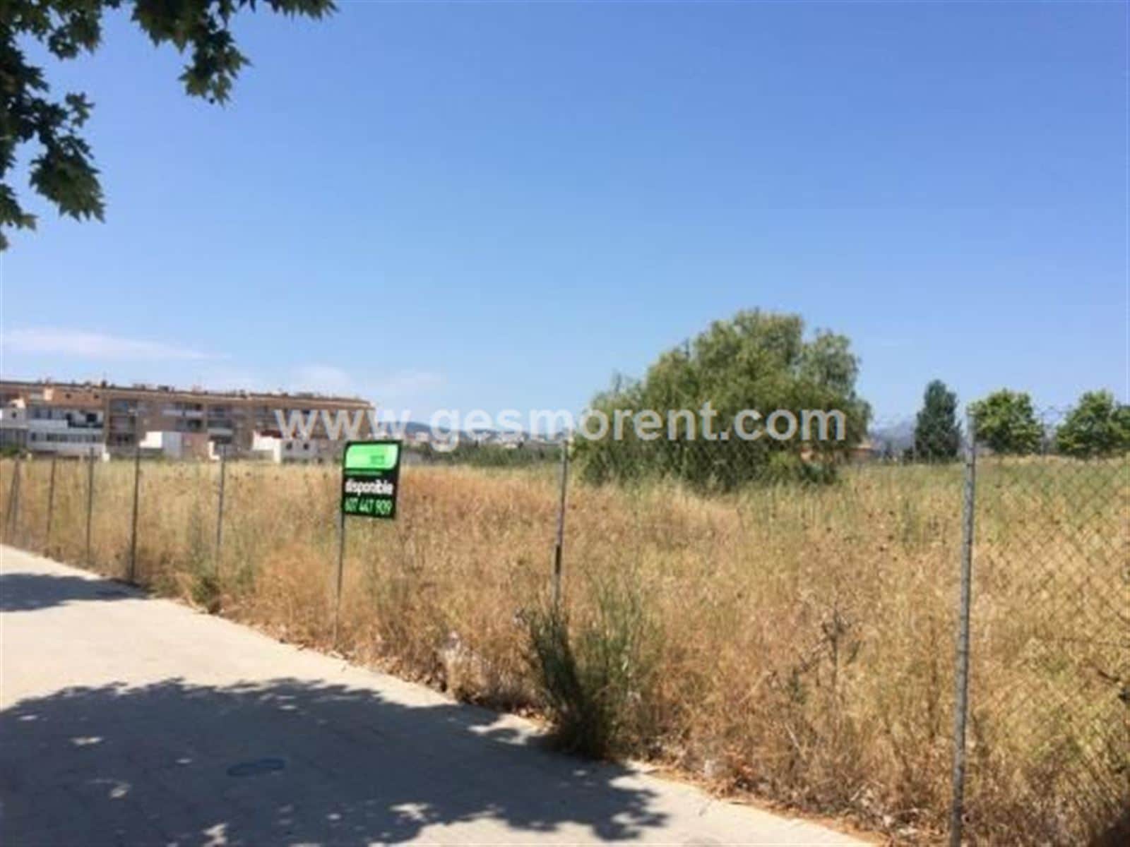 SE ALQUILA SOLAR EN POLIGONO SON FUSTER - Foto 3
