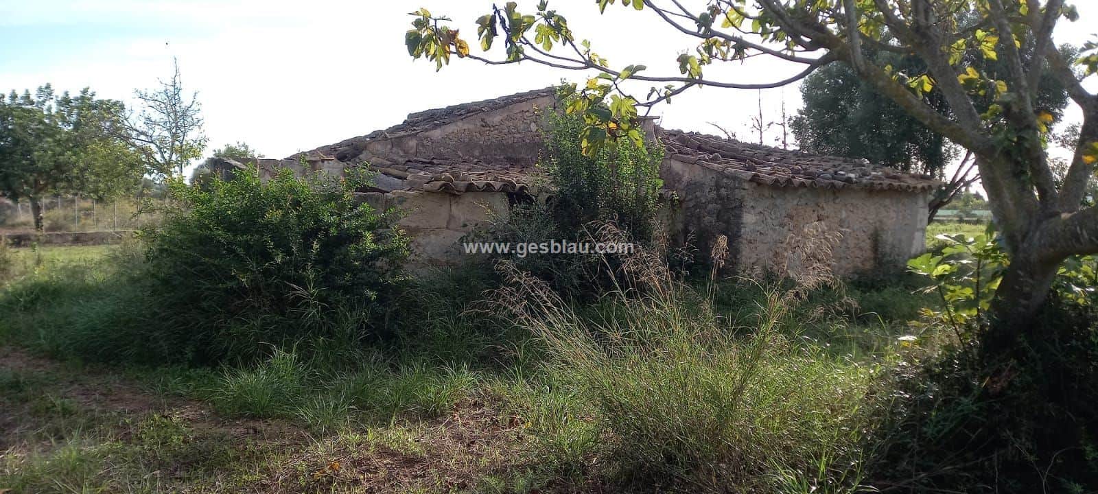 Finca - Buger - Foto 5