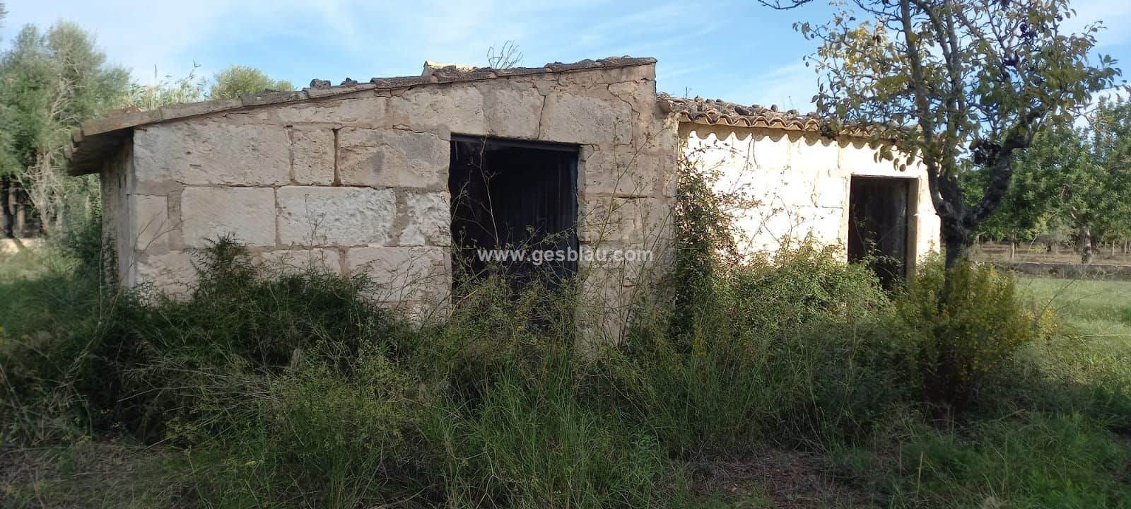 Finca - Buger - Foto 2