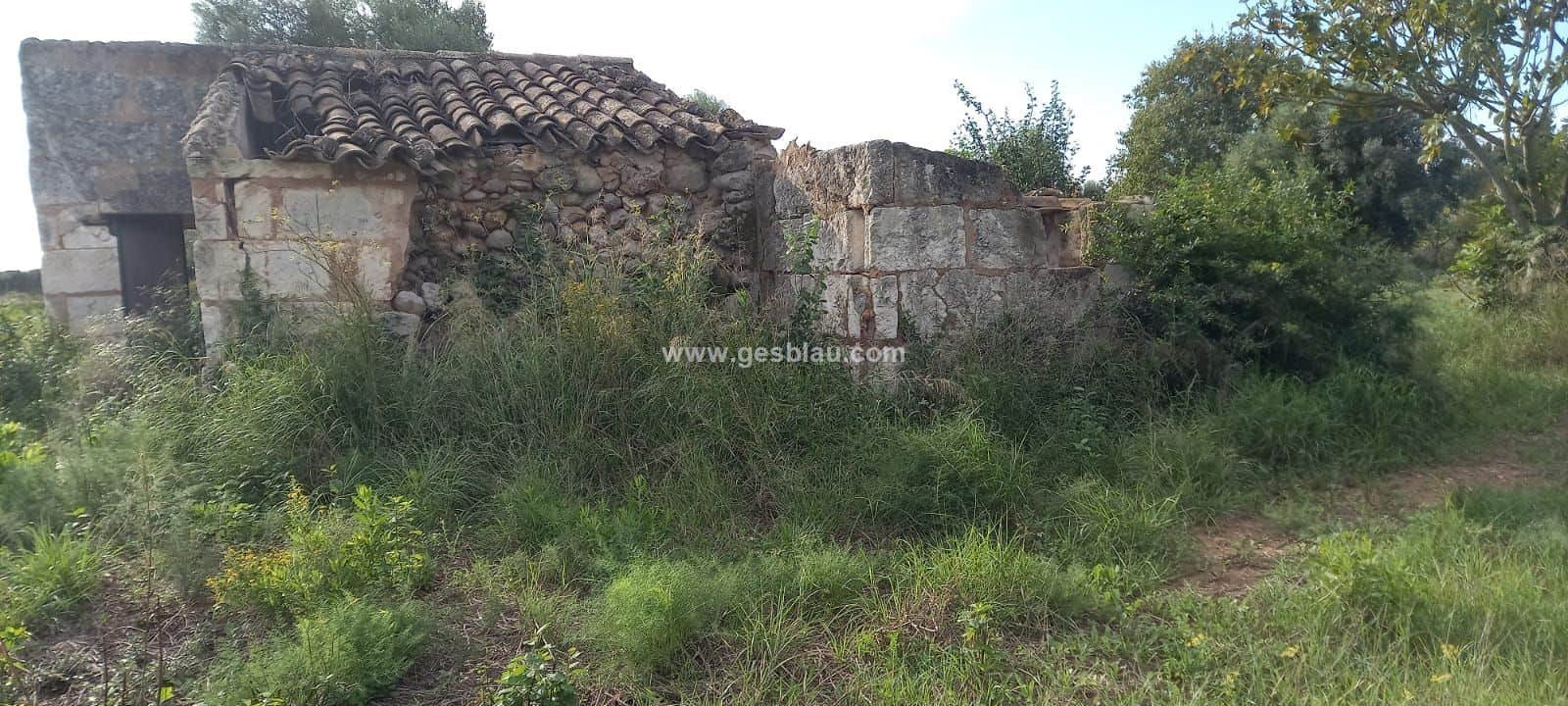 Finca - Buger - Foto 4
