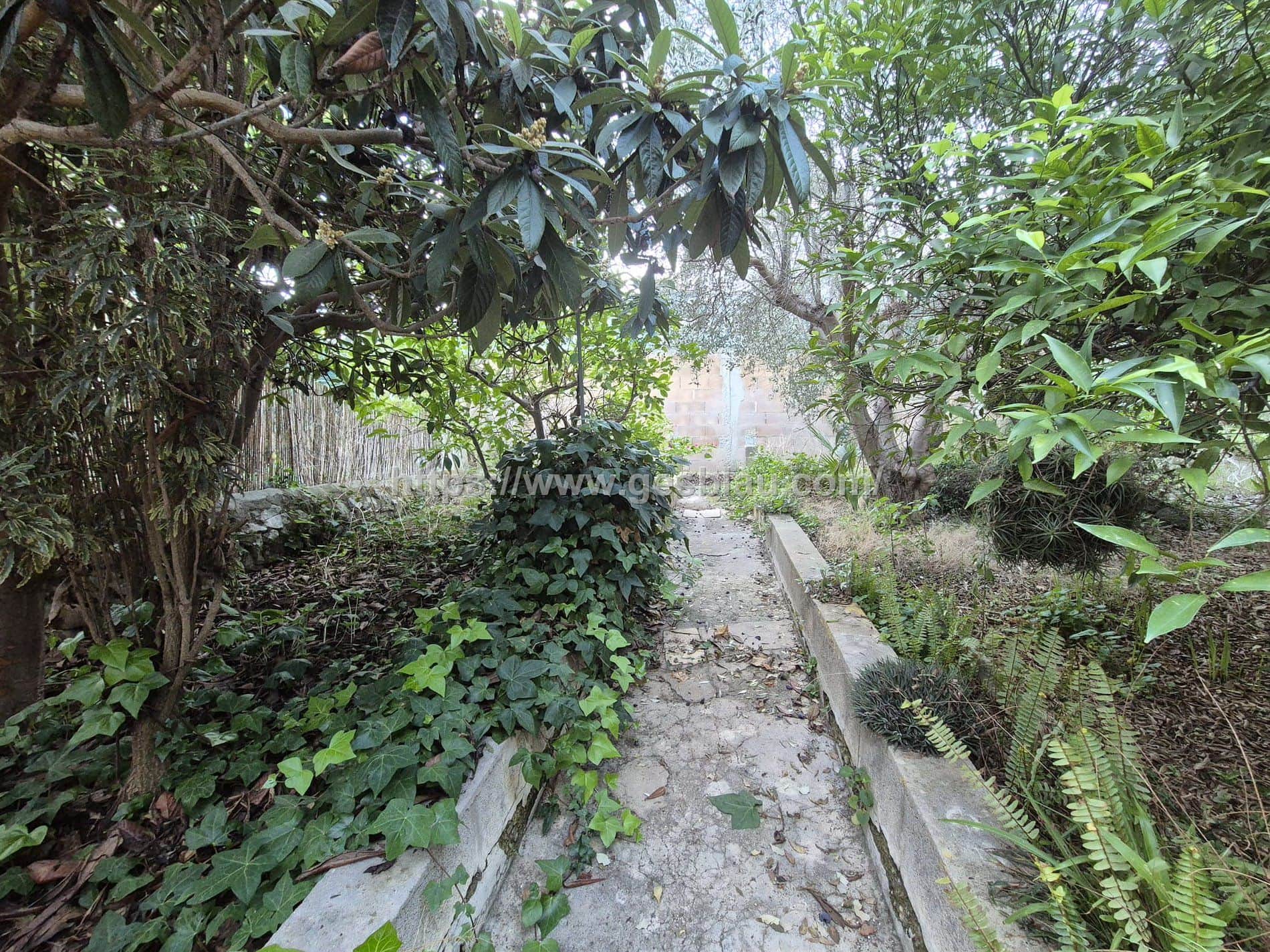Gran casa con garaje y amplio patio en Selva – muchas posibilidades - Foto 4