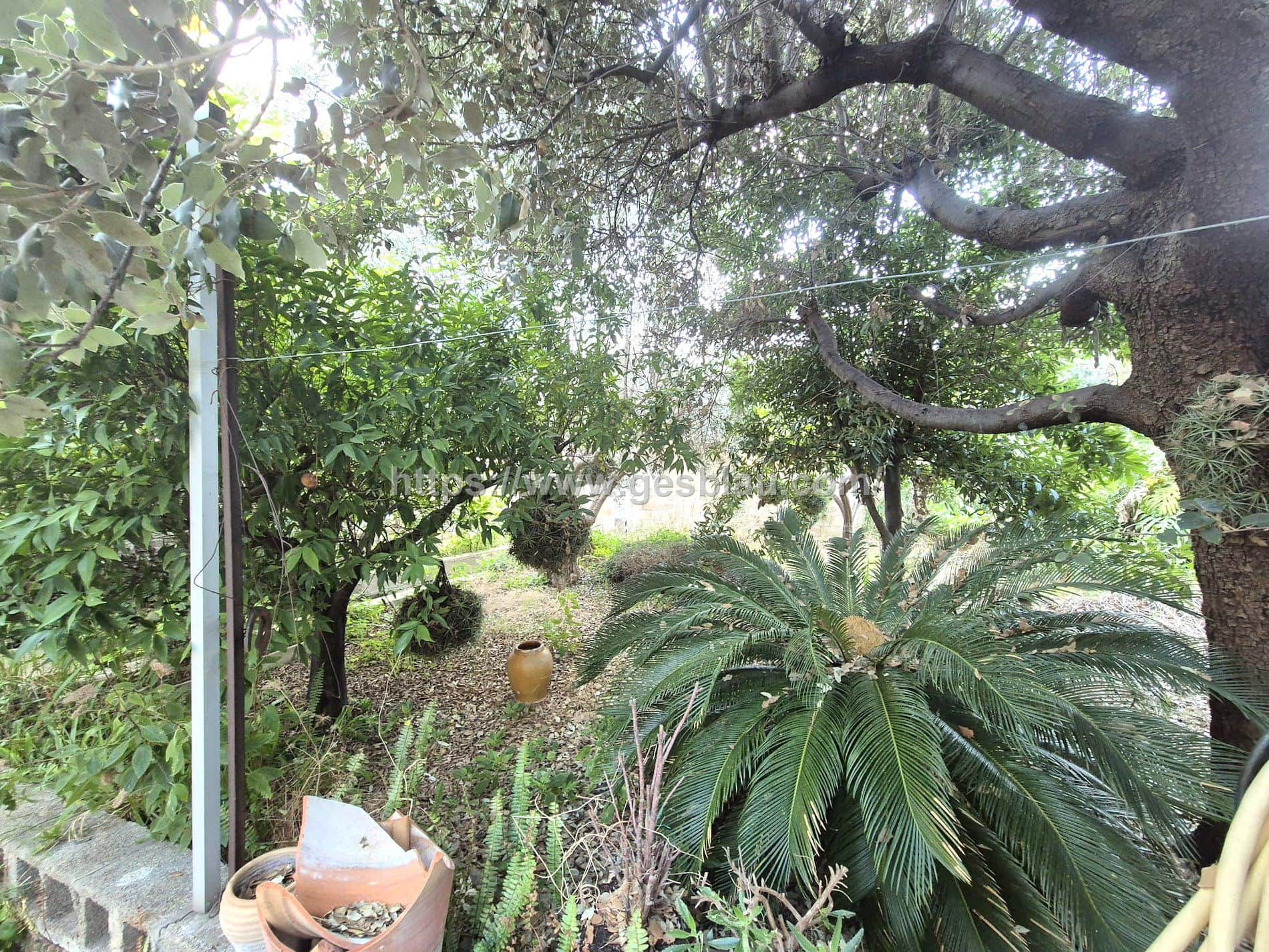 Gran casa con garaje y amplio patio en Selva – muchas posibilidades - Foto 3