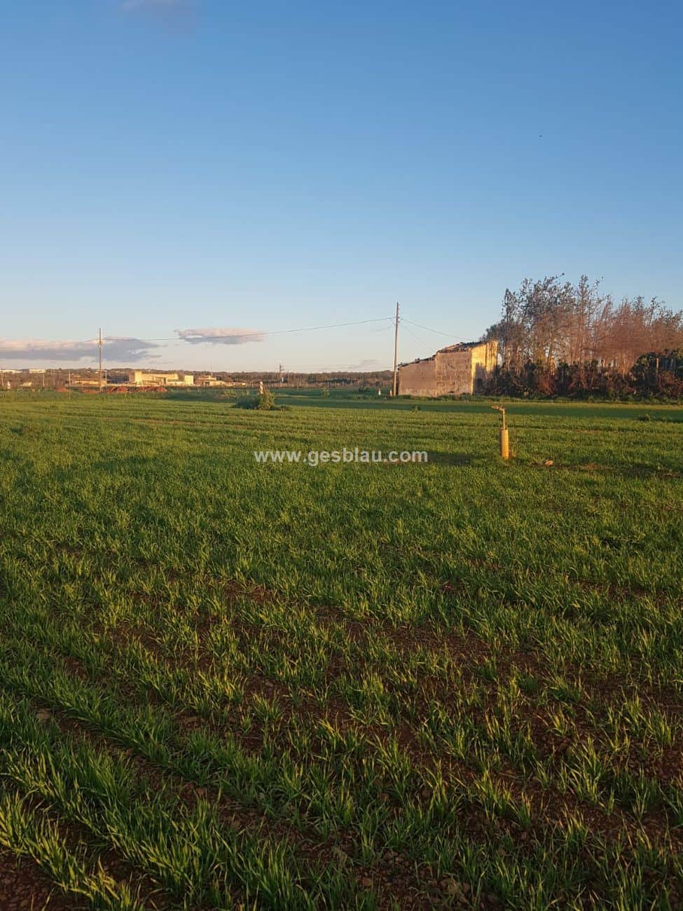 Llubi , Rustica c. projecto basico - Foto 2