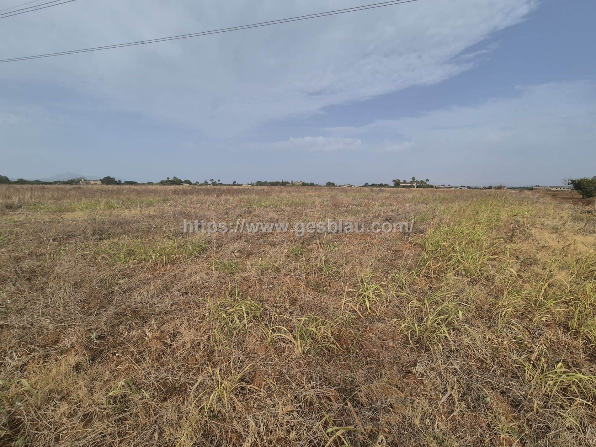Terreno en venta en Sa Pobla - Foto 3