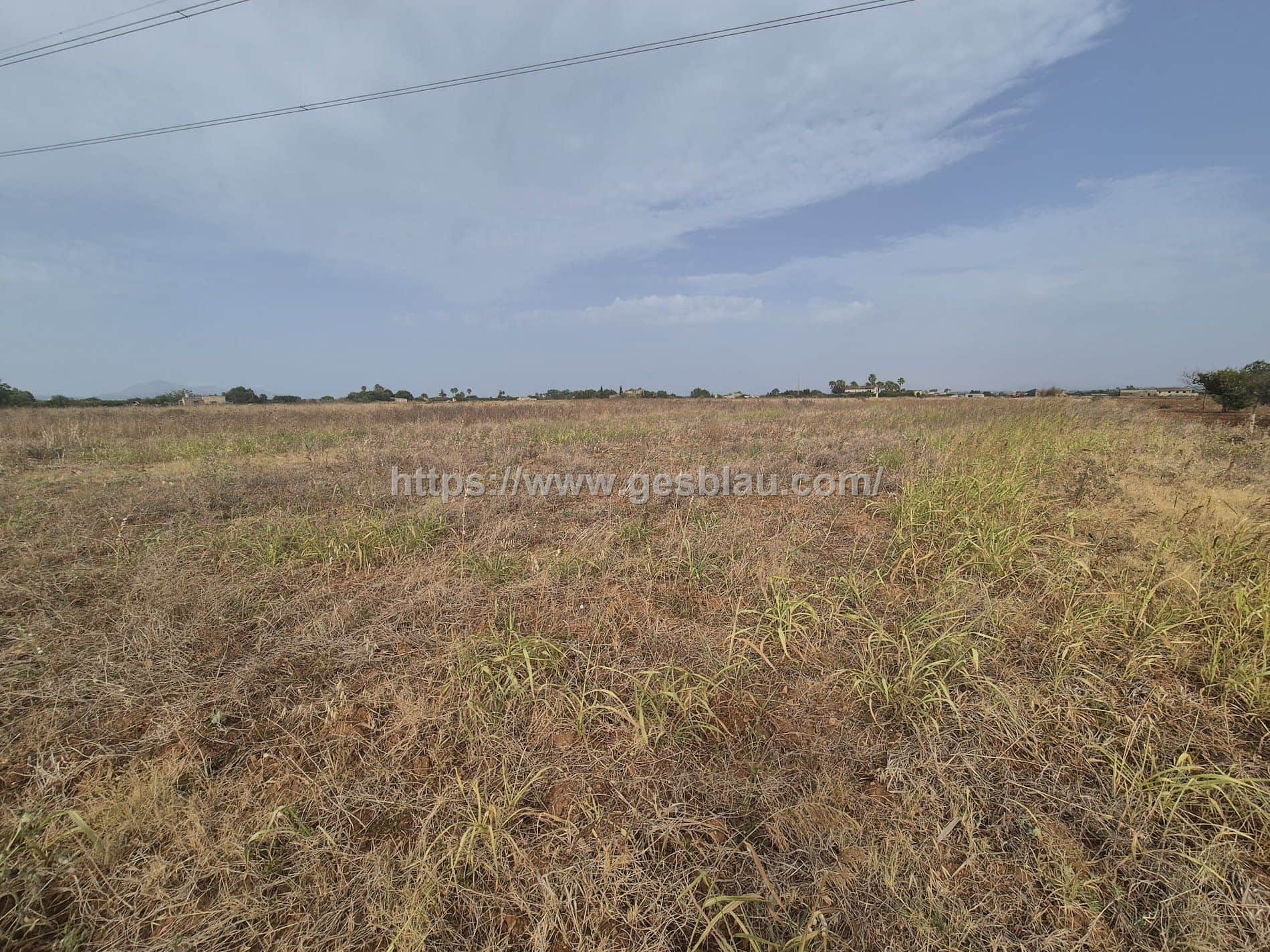 Terreno en venta en Sa Pobla - Foto 2