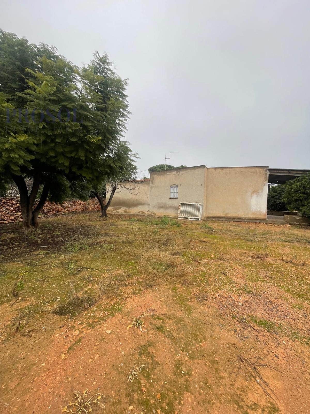 Maset con enorme potencial cerca de la calle Ermita - Foto 4