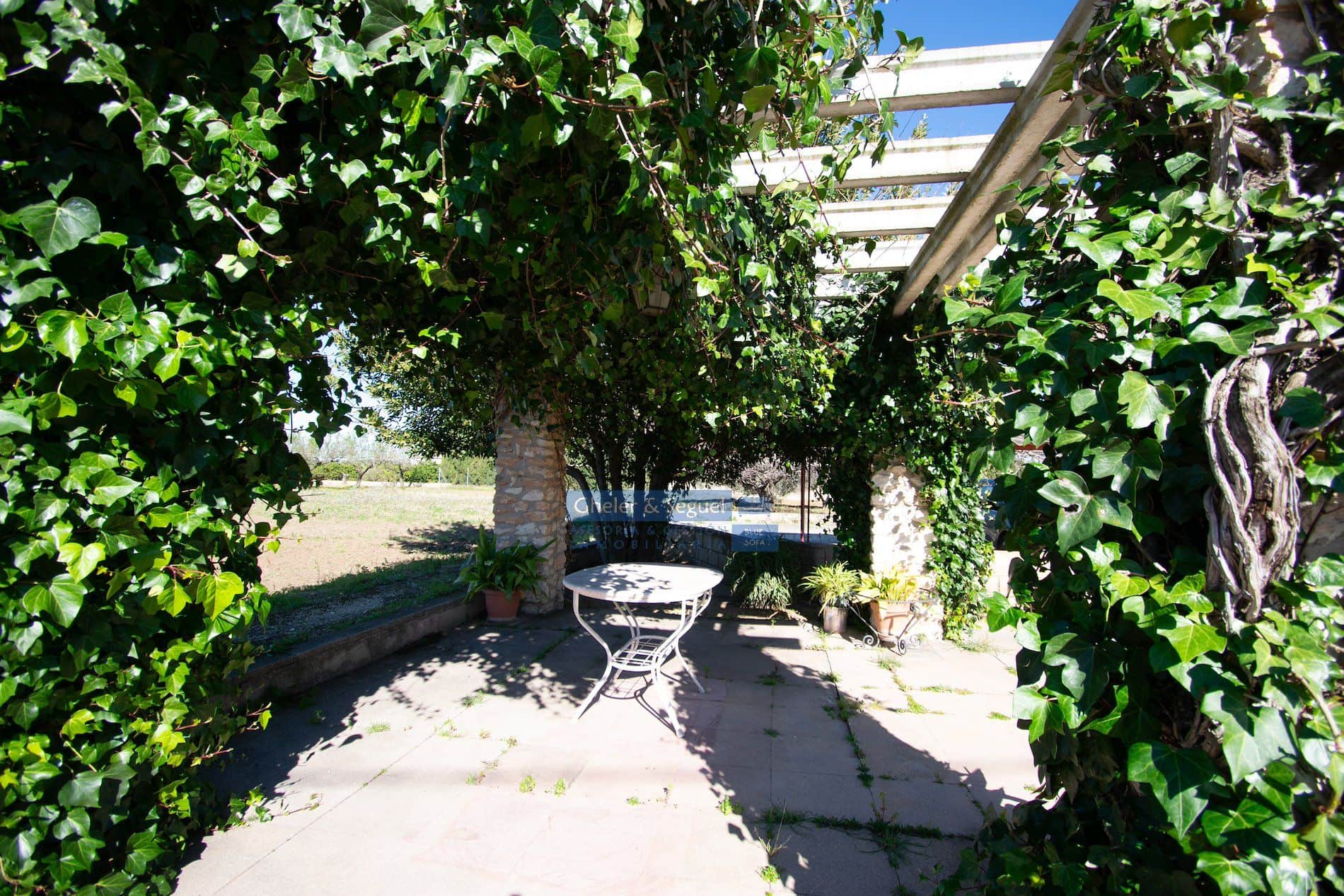 Finca rústica con vivienda tradicional y gran potencial en Ontinyent - Foto 4