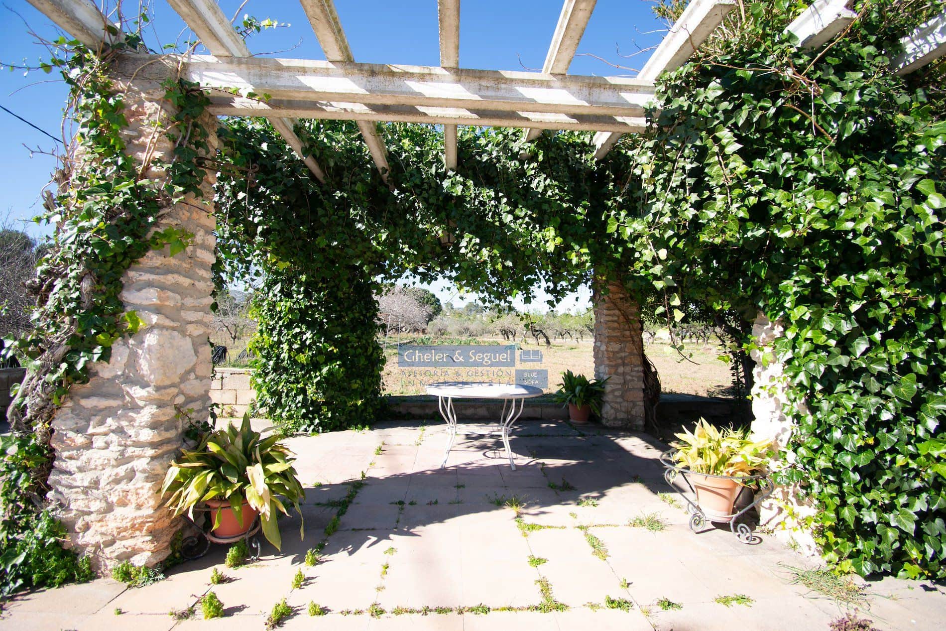 Finca rústica con vivienda tradicional y gran potencial en Ontinyent - Foto 3