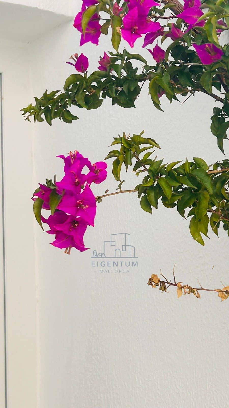 🏡 Encantadora casa con jardín y vistas al mar en Porto Cristo Novo – Alquiler de larga temporada 🌊 - Foto 5