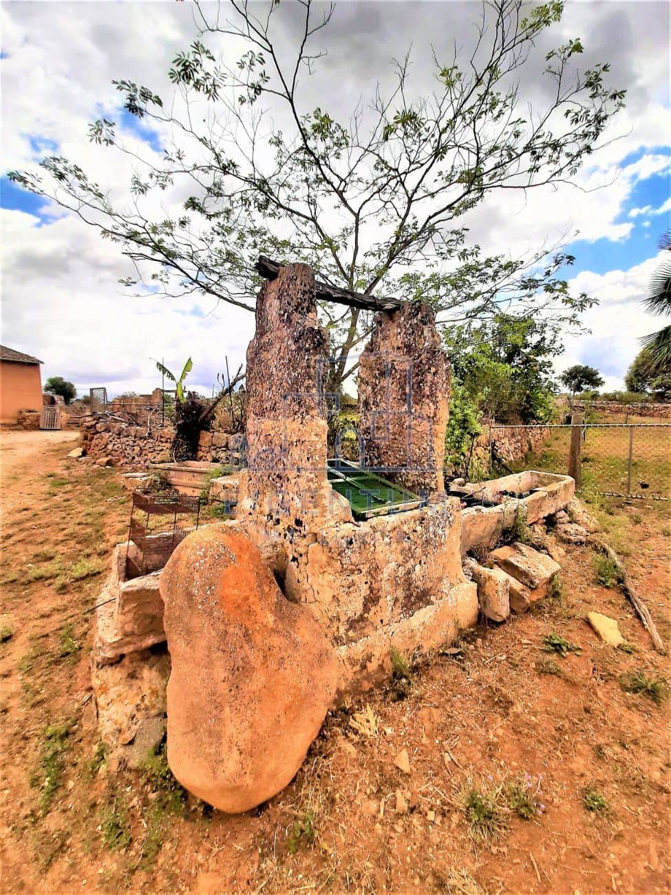 FINCA CON CASA A REFORMAR CON AGUA Y ELECTRICIDAD - Foto 5