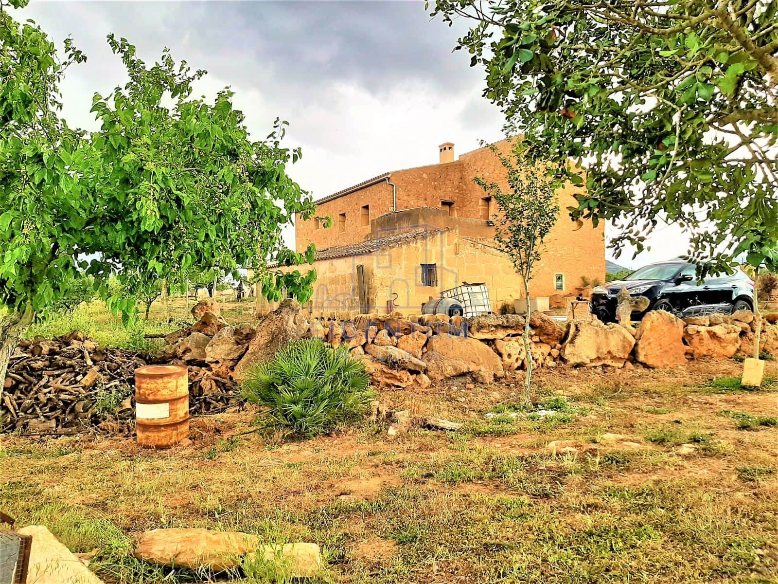FINCA CON CASA A REFORMAR CON AGUA Y ELECTRICIDAD - Foto 2