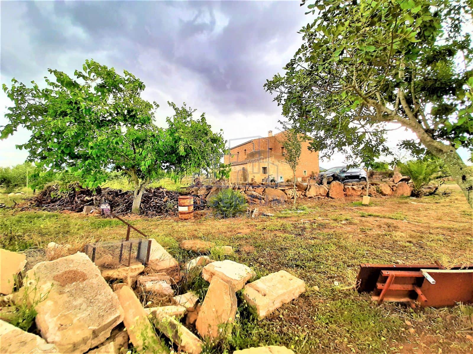 FINCA CON CASA A REFORMAR CON AGUA Y ELECTRICIDAD - Foto 3