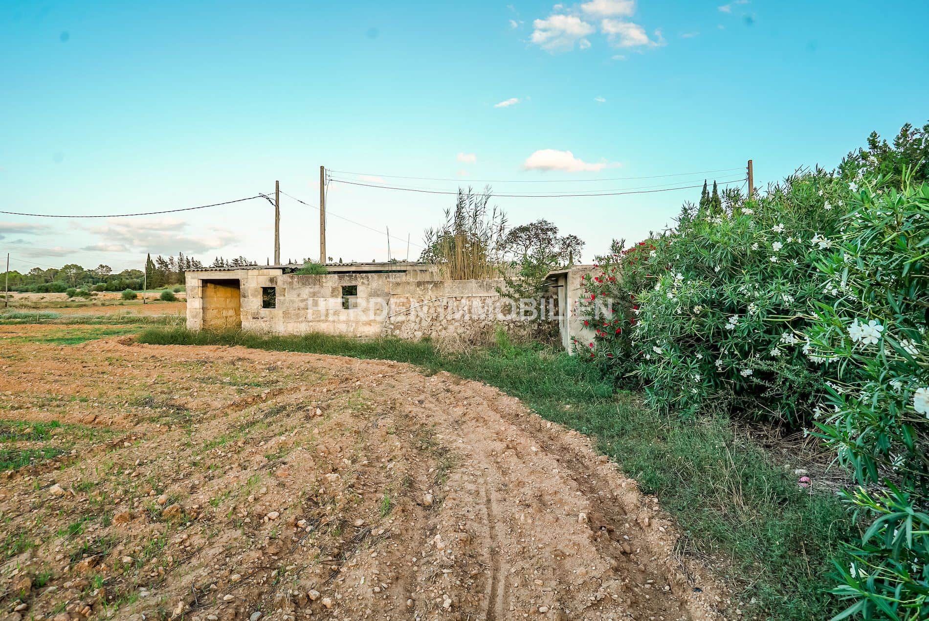 Amplio terreno edificable en venta en Muro, Mallorca - Foto 5