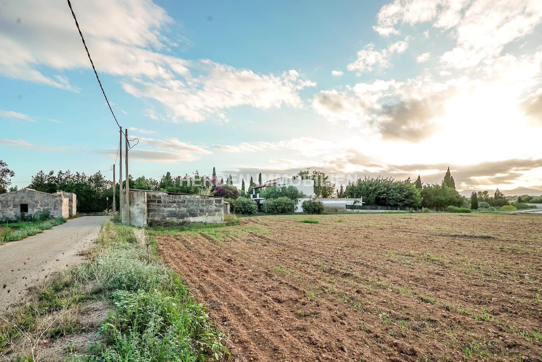Amplio terreno edificable en venta en Muro, Mallorca - Foto 3