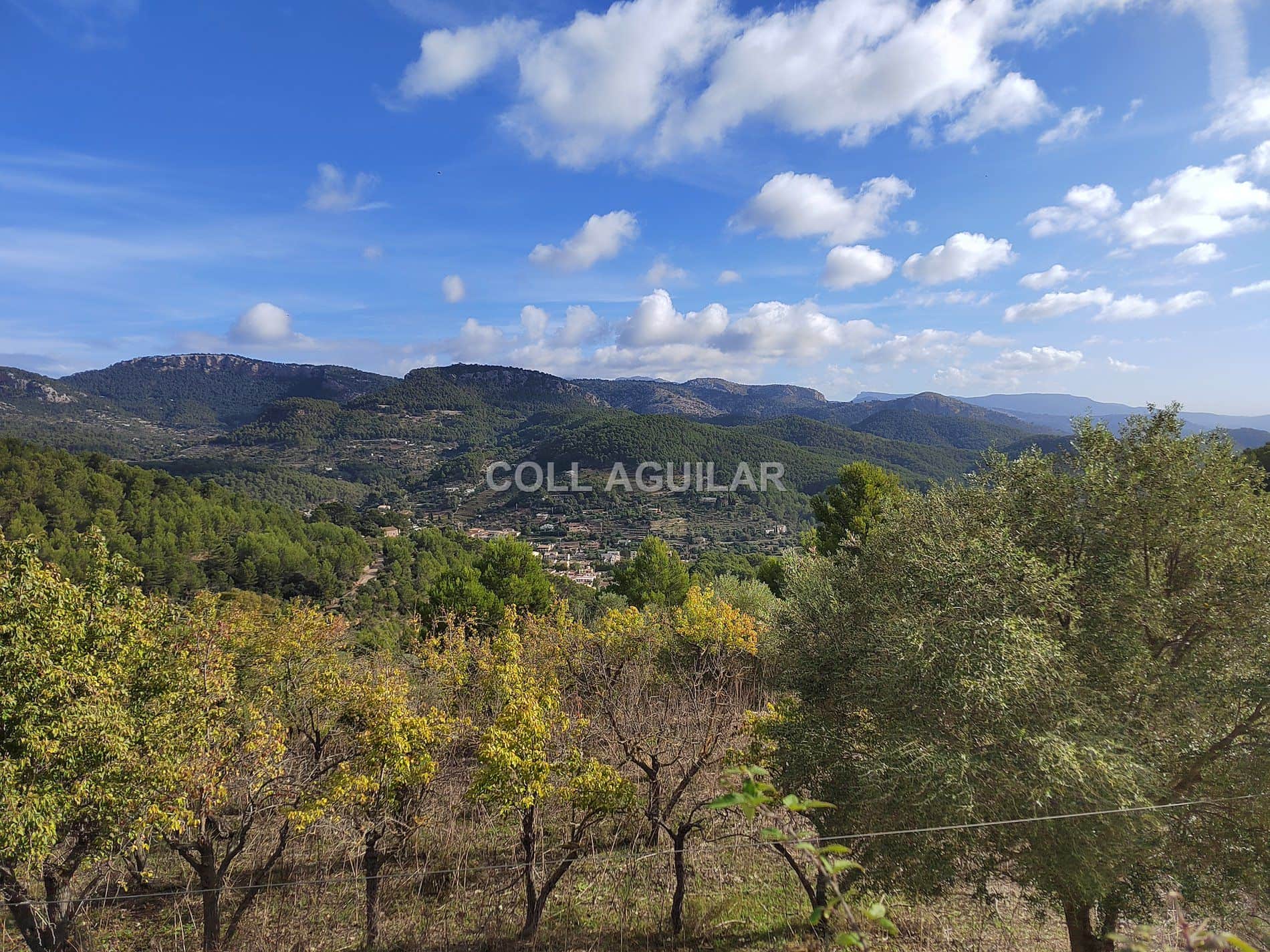 ESPECTACULAR POSSESION MALLORQUINA EN ESPORLAS 500.000 m2 - Foto 5