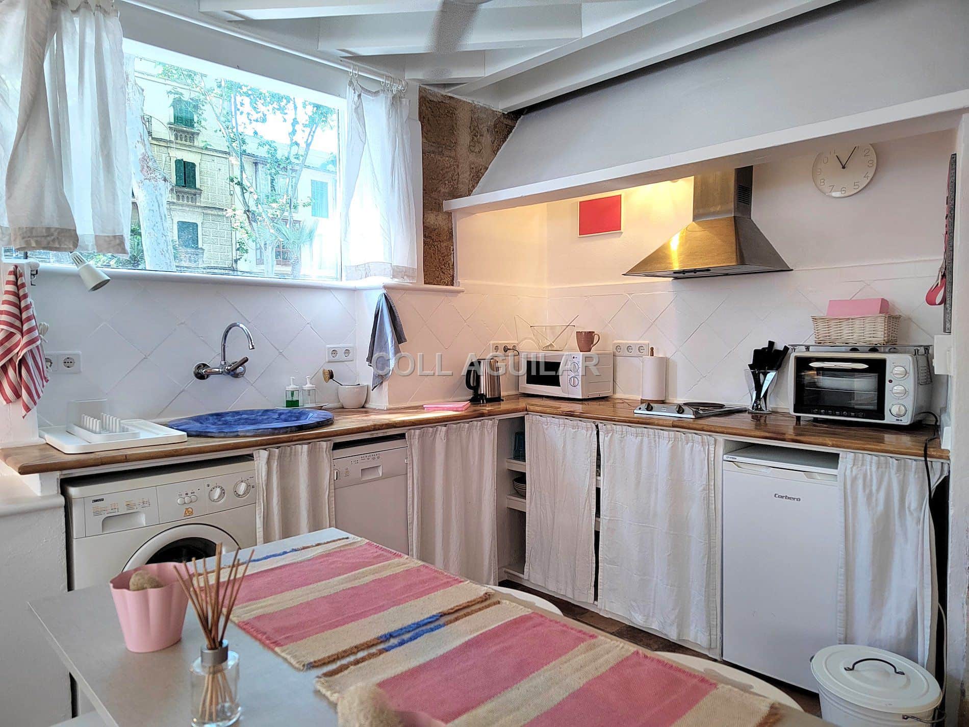 PLANTA BAJA ESTILO LOFT SOLEADA - Foto 3