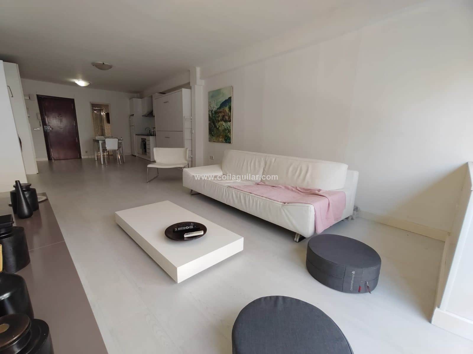 ESTUDIO 53 m2 EN CASCO ANTIGUO, SANTA EULALIA - Foto 2